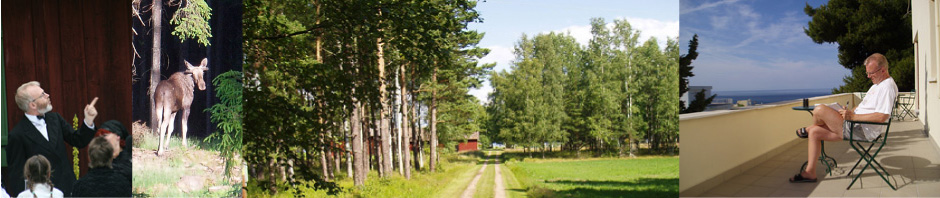 Skäggbilden: jag spelar smed i Älvdalssagan. (Bilden spegelvänd). Skrivbilden: från en terrass i Svenska huset i Kavalla, Grekland.