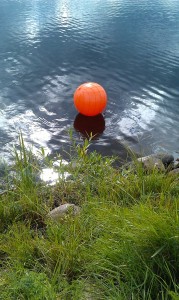 Orange boll