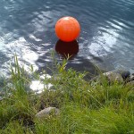 Orange boll