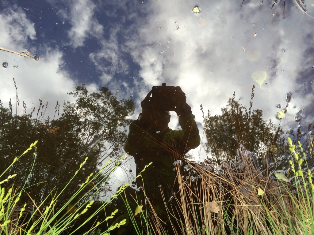 Selfie i brunt skogsmaskindike